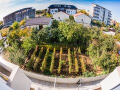 Plaza Romania, Bucuresti, sector 6